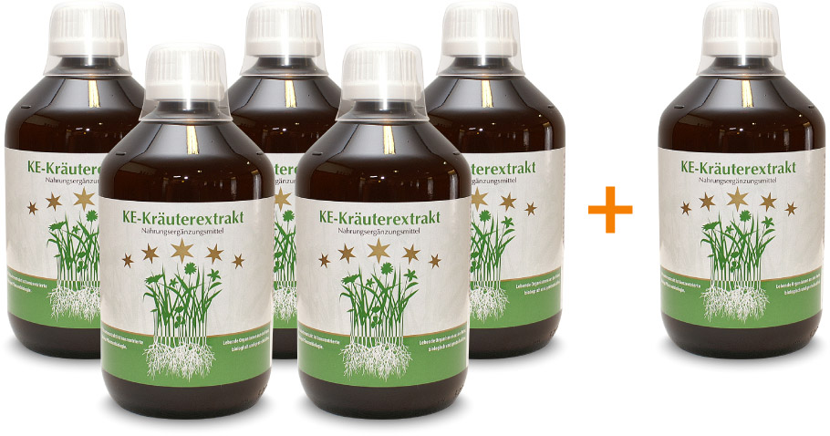 6 bottles of KE Herbal Extracts